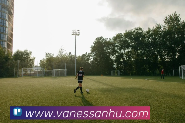 平台使命图